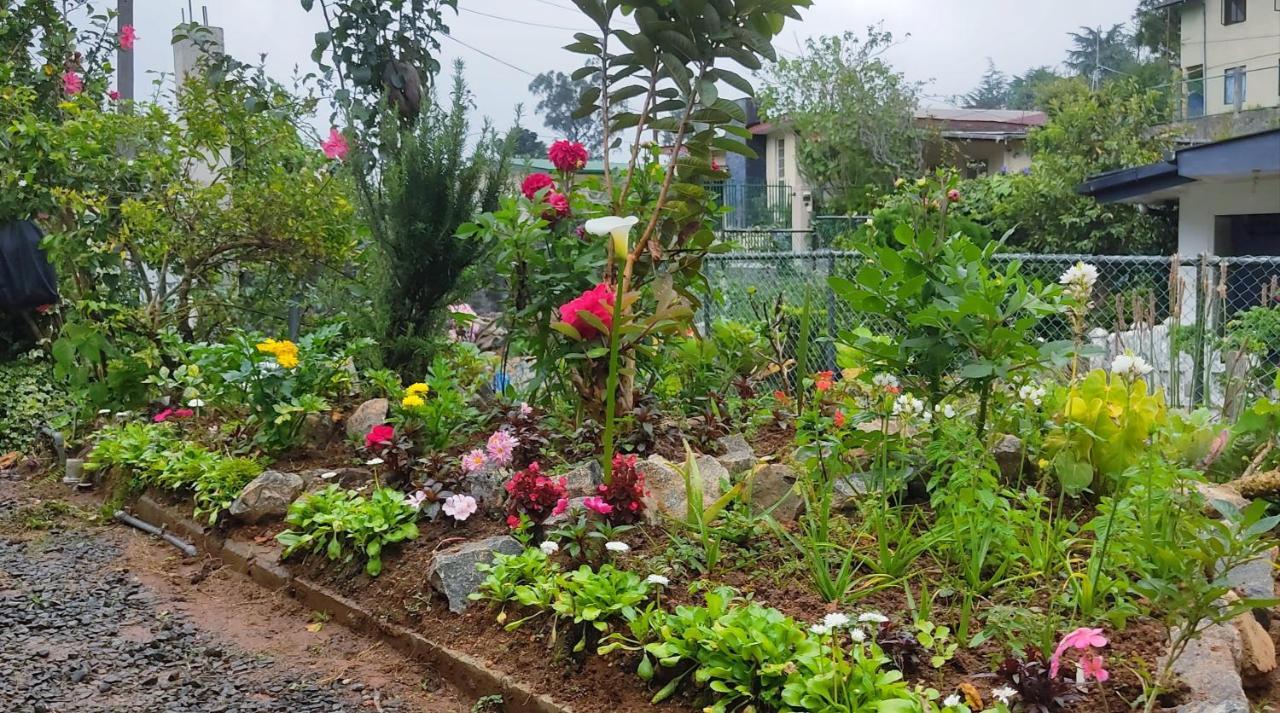 Townside Lodge Nuwara Eliya Bagian luar foto